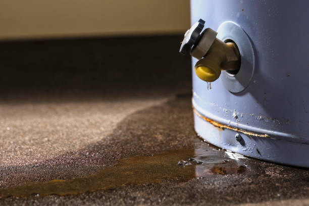 Best 24/7 water damage repair  in Maine, WI