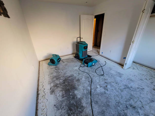 Best Commercial water damage restoration  in Maine, WI