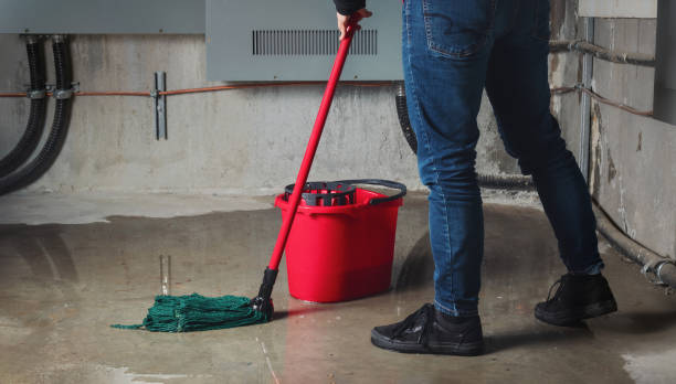 Best Residential water damage restoration  in Maine, WI