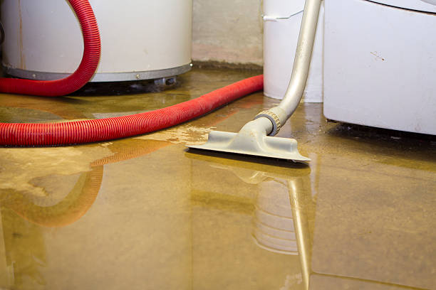 Best Water damage restoration near me  in Maine, WI