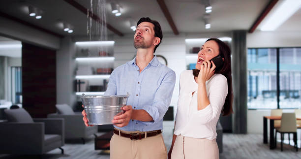 Best Basement water damage restoration  in Maine, WI