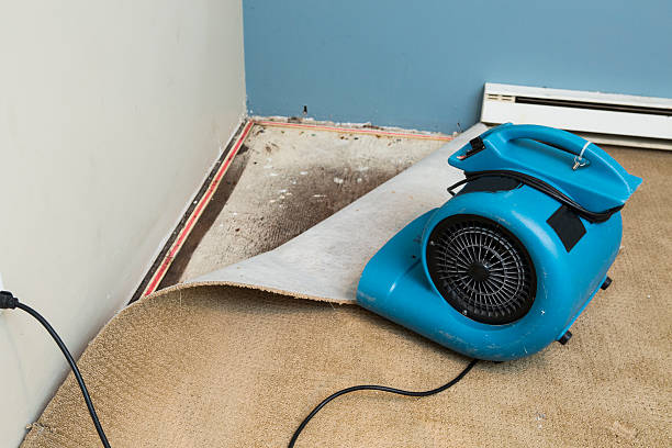  Maine, WI Water damage restoration Pros